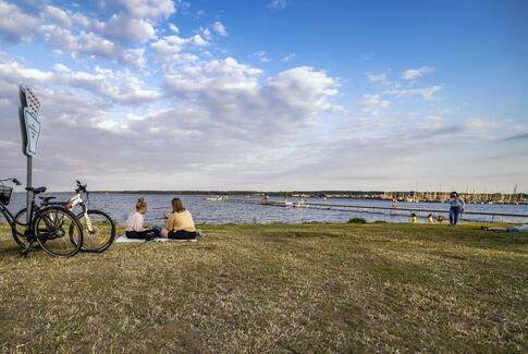 Online event skaber oplevelser for både danske og internationale horsensianere