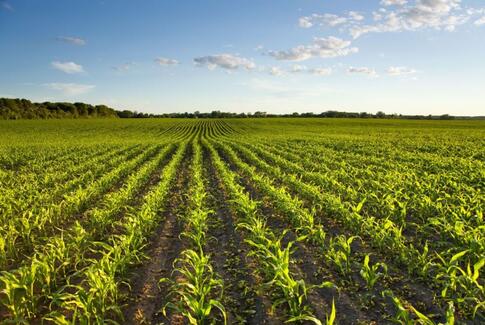 Landbrugsaftale skal sikre arbejdspladser på landet
