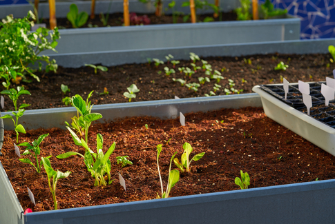 ÆldreSagen Horsens Nord inviterer til inspirationseftermiddag