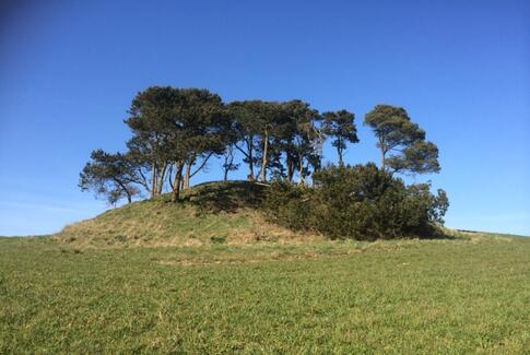Fortidsmindedag 25. april 2021 på Tremhøj