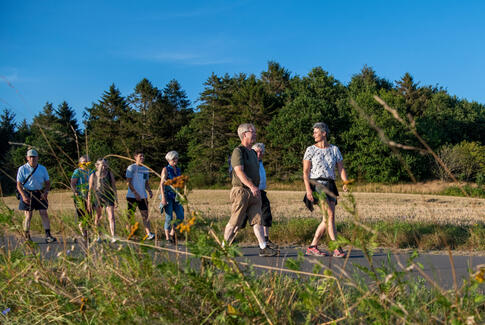 Vil du med på gåtur ved Nørrestrand?