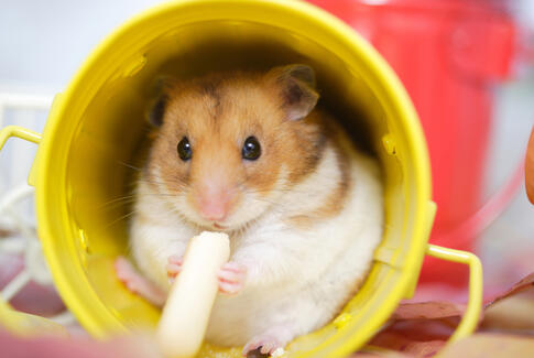 42 % har fået MUS-samtalen sat på coronapause