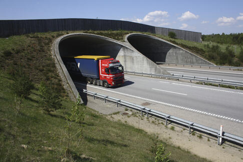 Effekten af faunapassager i Øst- og Midtjylland varierer