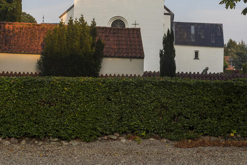 Syng i vilden sky 8 tirsdage i træk