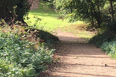 Flere midler til at udvikle lokalsamfundene