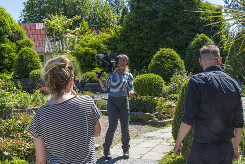 DR henter valnøddetræ i Sattrup