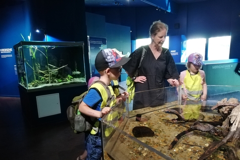 Hassel-huset på ”vild” tur til Aqua i Silkeborg