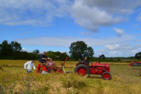 Høst- &amp; markedsdage 2021 på Glud Museum