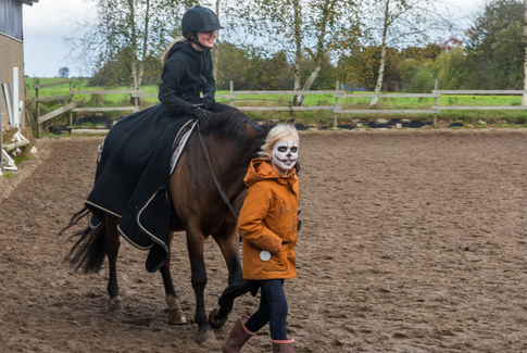 Fest, hest og udklædning i VBR