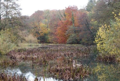 Debat: Åløb og søer