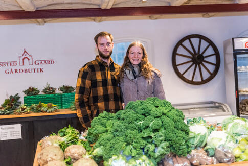 Julemarked på Hanstedgård
