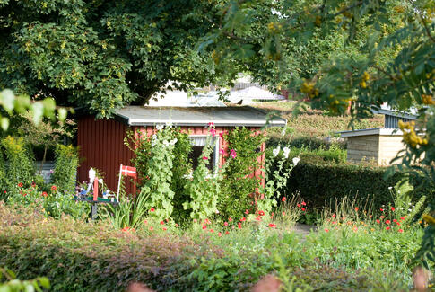 Debat: Kolonihaver, ja tak!