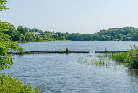 Vandretur ved Vestbirk Sø med DGI