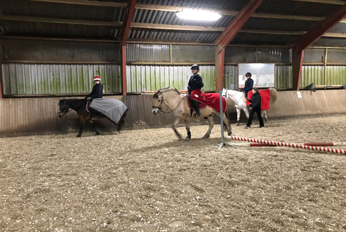 Ekstra stor julegave til alle i Vestbirk Rideklub