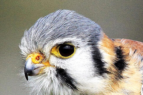 Fotoudstilling i Tinghuset