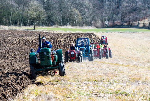 Pløjning med veterantraktor ved Yding