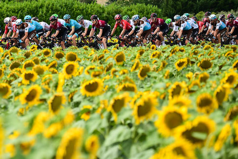 Sådan kommer du bedst frem til Tour de France