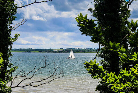 5 millioner kroner til bæredygtig turismeudvikling omkring Horsens Fjord