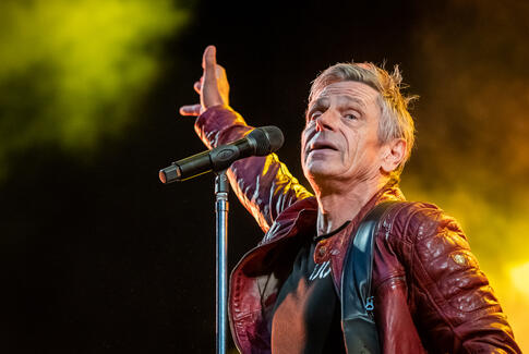 Under stjerner og bøgetræer – ”Mød mig i mørket”