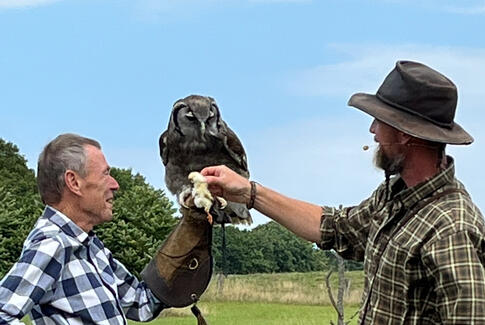 Sogneudflugt med rovfugle og bisonokser