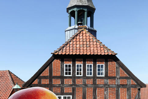 Ældre Sagen tager til Ebeltoft og på Pejsegården