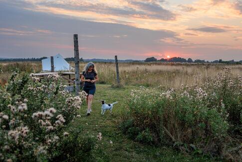 Holmely får innovation board