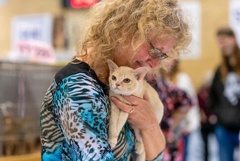 Flot katteshow i Brædstrup