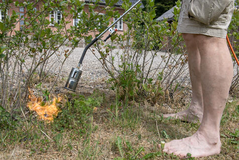 Ukrudtsbrænderen er forårets store brandstifter
