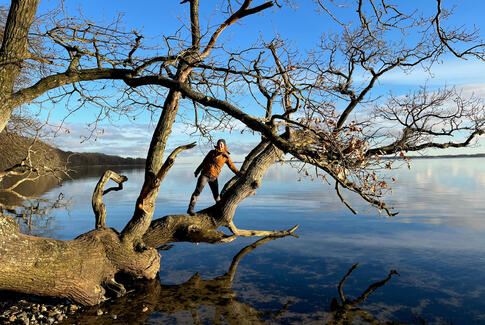 Kom med på inspirerende guidede naturture