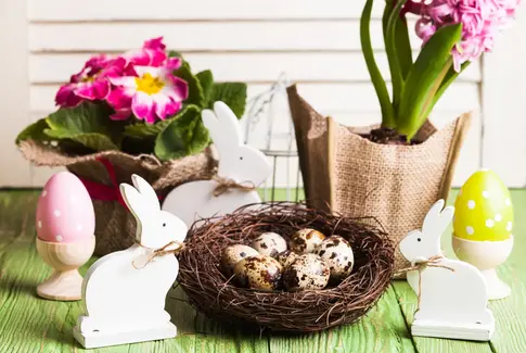 Påskeblomster kan noget