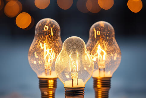 Julelys i Østbirk – nye medlemmer