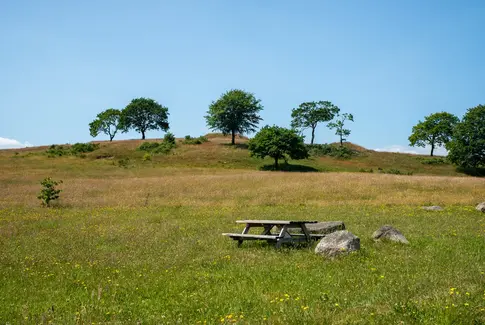 En gravhøj i baghaven