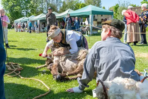 Dyrenes Dag i Glud – masser af pels, poter og piberøg i forårssolen