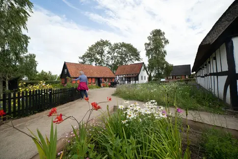 Kålrabi, komfurer og kærlige hænder