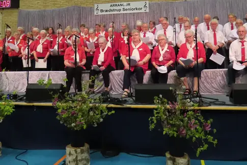 Seniorkoret juleafslutning Brædstrup
