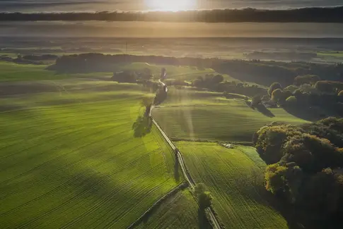 Grøn Trepart dronefoto