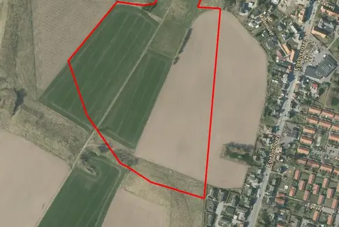 40.000 træer skal plantes i helt ny skov i Gedved