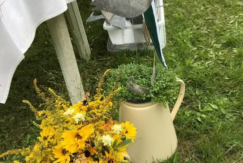 Søvind Høstmarked lørdag 1. september