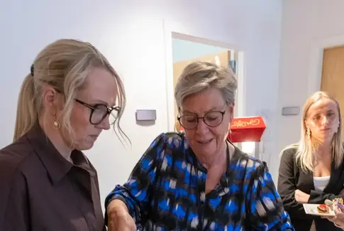 Sommerfest på Birkbo