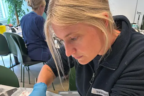 Sygeplejeske anlægger venflon
