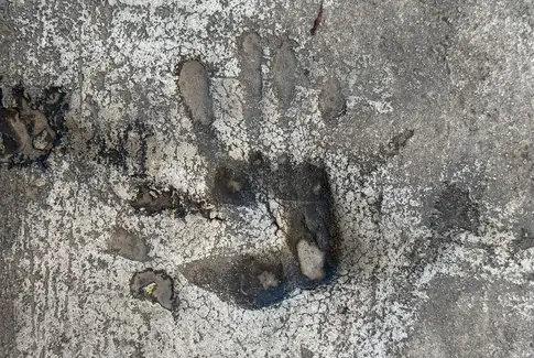 Aftryk Kunst Søvind