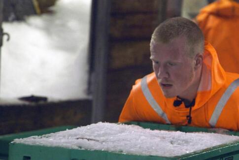 De unge fiskere på DR1