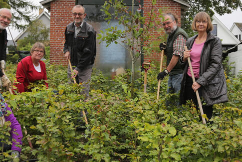 Pensionister i Lundum luger ukrudt