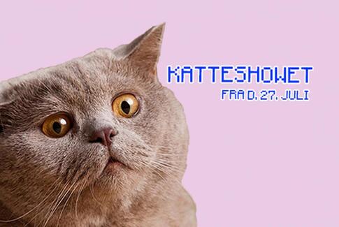 Kattene kommer!