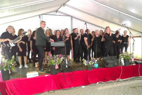 Senior-kulturfestival med 800 deltagere