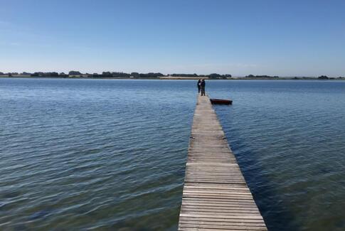 Bliv klogere på, hvad du kan opleve omkring Horsens Fjord