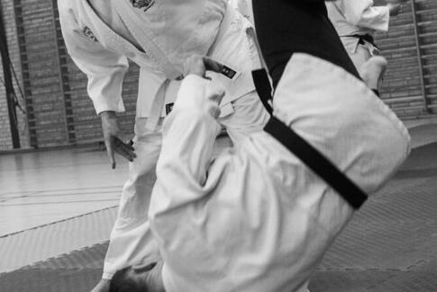 Ju Jitsu-seminar i Gedved med tyske gæster