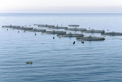 Politiet vil konfiskere 190 mill. fra havbrug