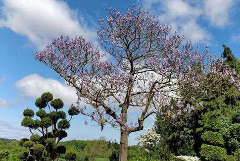 Heldagsudflugt til Nordfyn