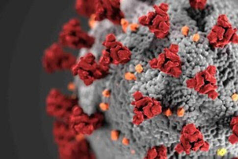 Horsens Kommune: Vi har brug for din hjælp